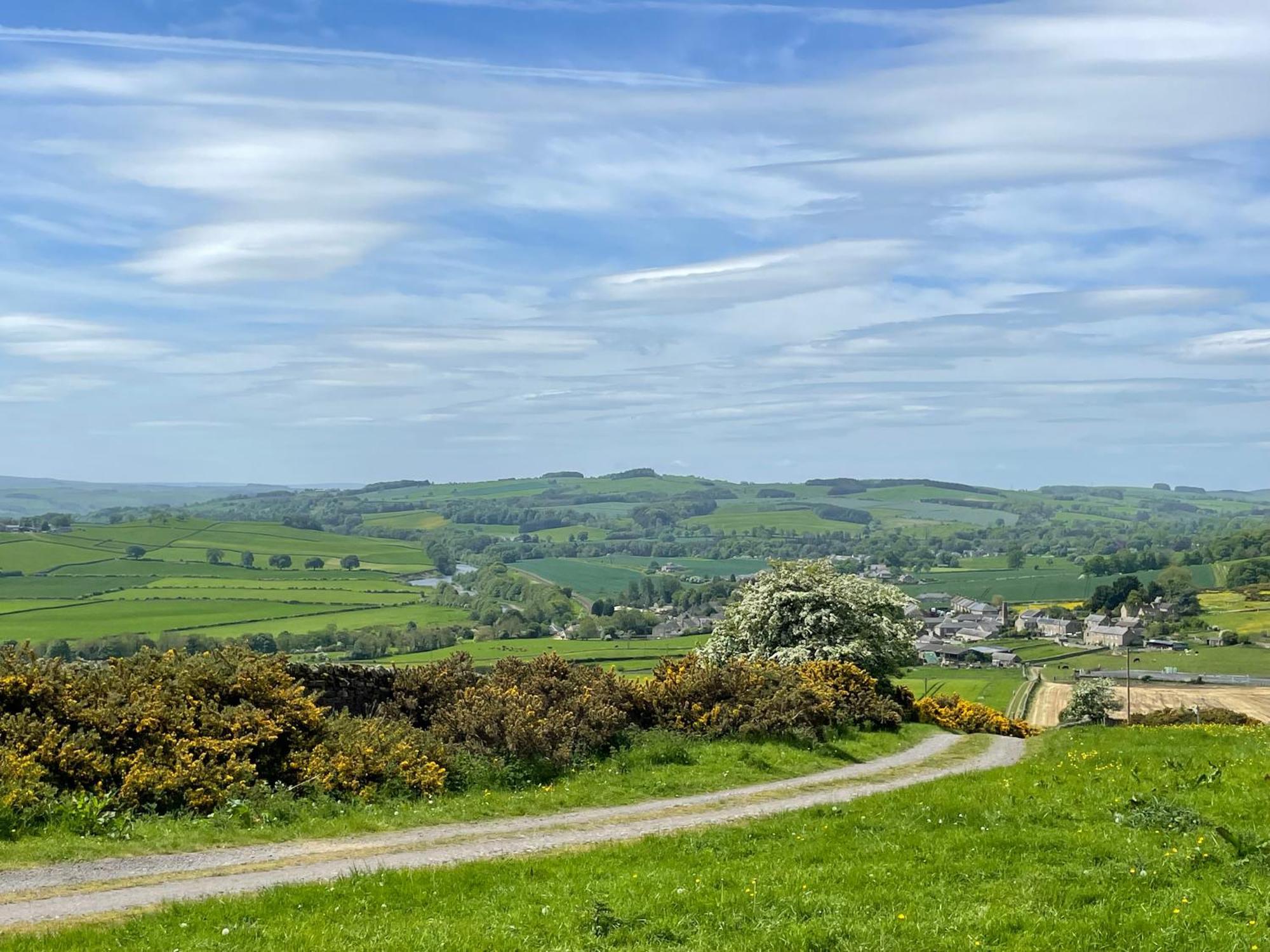 Stay On The Hill - Self Catered Cottages Laverick And Bothy Hexham Exterior foto